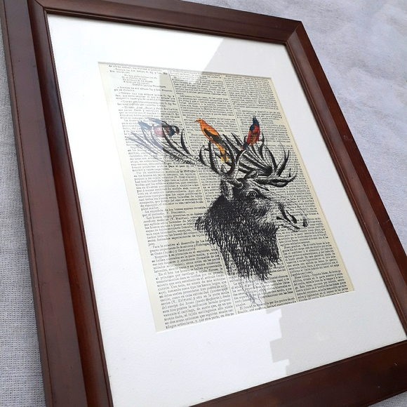 Other - Framed Print - nature theme